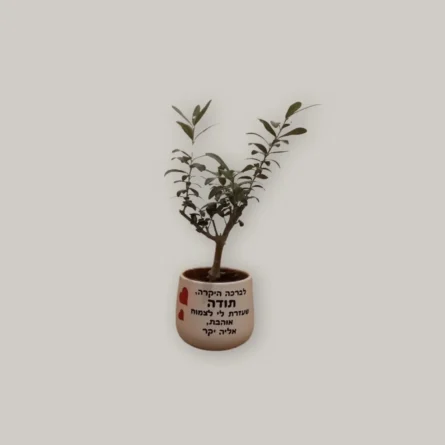 ⁦עציץ קרמיקה ממותג בעיצוב אישי⁩ – תמונה ⁦3⁩