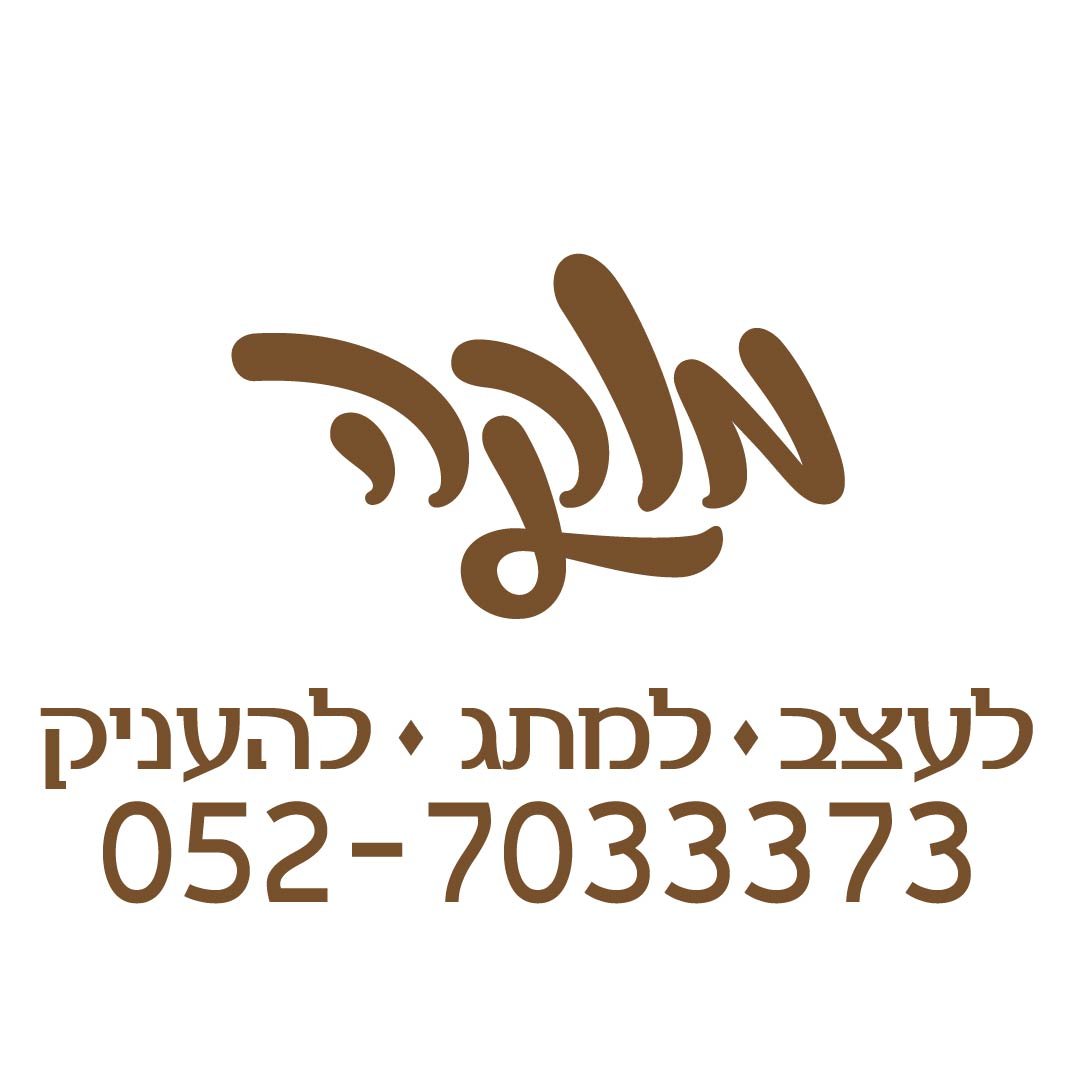 ממלא מקום