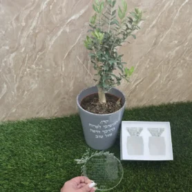 סט לכלה בהתאמה אישית