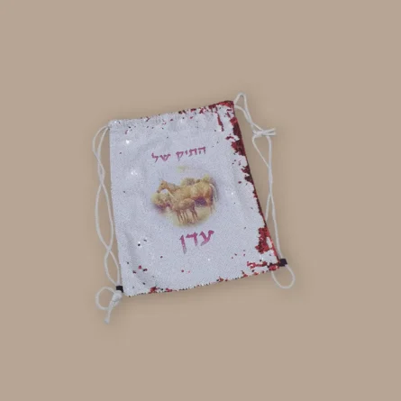 תיק שרוך פייטים לילדים ממותג בעיצוב אישי